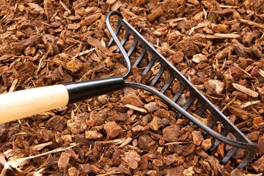 Rindenmulch wird mit einer Harke bearbeitet: Achten Sie darauf, dass Sie vor dem Aufbringen der Mulchschicht vorhandenes Unkraut restlos entfernen.