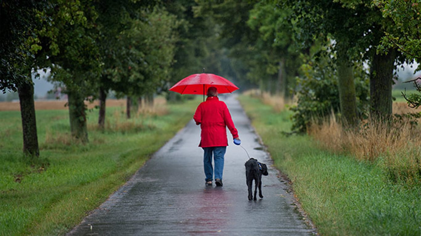 So kann schlechtes Wetter auch schön sein: Allee-Spaziergang bei Hannover.