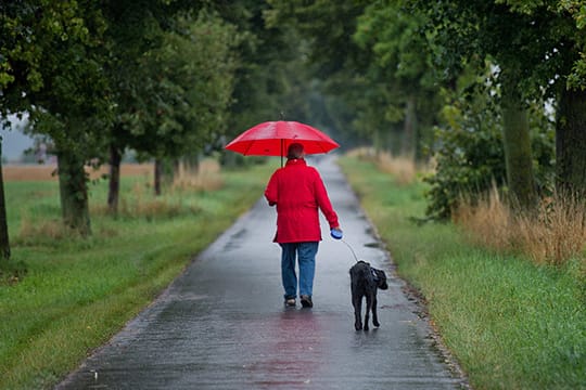 So kann schlechtes Wetter auch schön sein: Allee-Spaziergang bei Hannover.