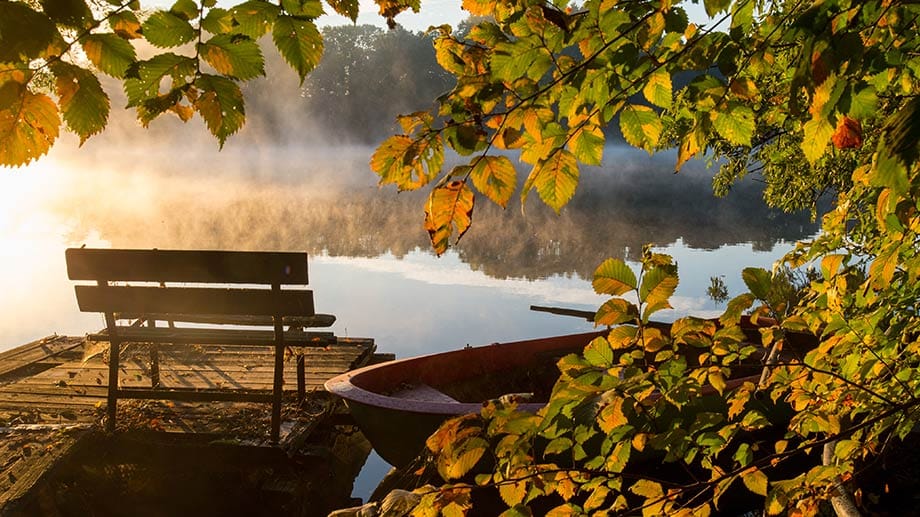 So schön herbstlich-kühl wie am Hohenjesarscher See im Landkreis Märkisch-Oderland in Alt Zeschdorf (Brandenburg) sieht es in weiten Teilen Deutschlands aus. So schön herbstlich-kühl wie am Hohenjesarscher See im Landkreis Märkisch-Oderland in Alt Zeschdorf (Brandenburg) sieht es in weiten Teilen Deutschlands aus.