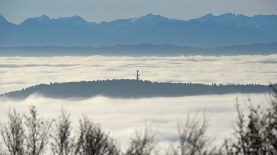 Einen so dichten Nebel sieht man über dem Bodensee immer seltener: Grund dafür ist laut Forschern der Klimawandel. Einen so dichten Nebel sieht man über dem Bodensee immer seltener: Grund dafür ist laut Forschern der Klimawandel.