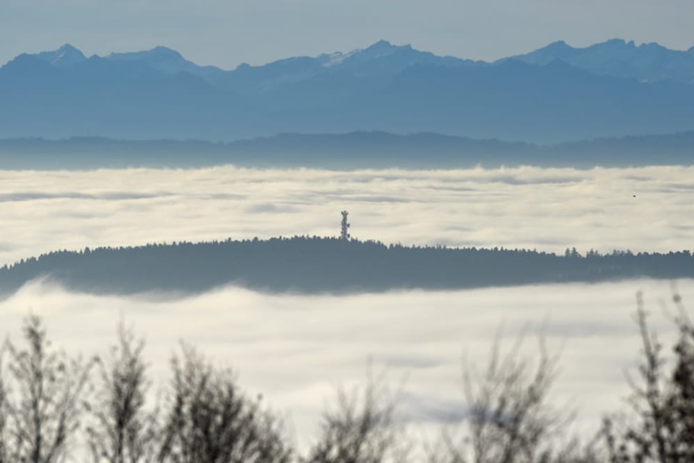 Einen so dichten Nebel sieht man über dem Bodensee immer seltener: Grund dafür ist laut Forschern der Klimawandel.