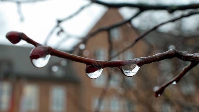 Regnerisch, aber viel zu mild für die Jahreszeit: Der Dezember steuert auf Rekordtemperaturen zu. Regnerisch, aber viel zu mild für die Jahreszeit: Der Dezember steuert auf Rekordtemperaturen zu.