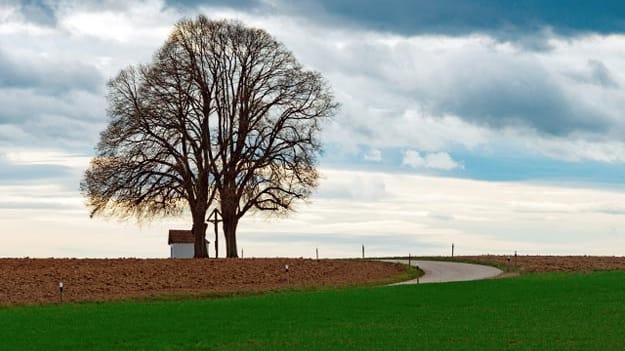 Nach der kurzen Kälteperiode wird es in den kommenden Tagen wieder ungewöhnlich warm.