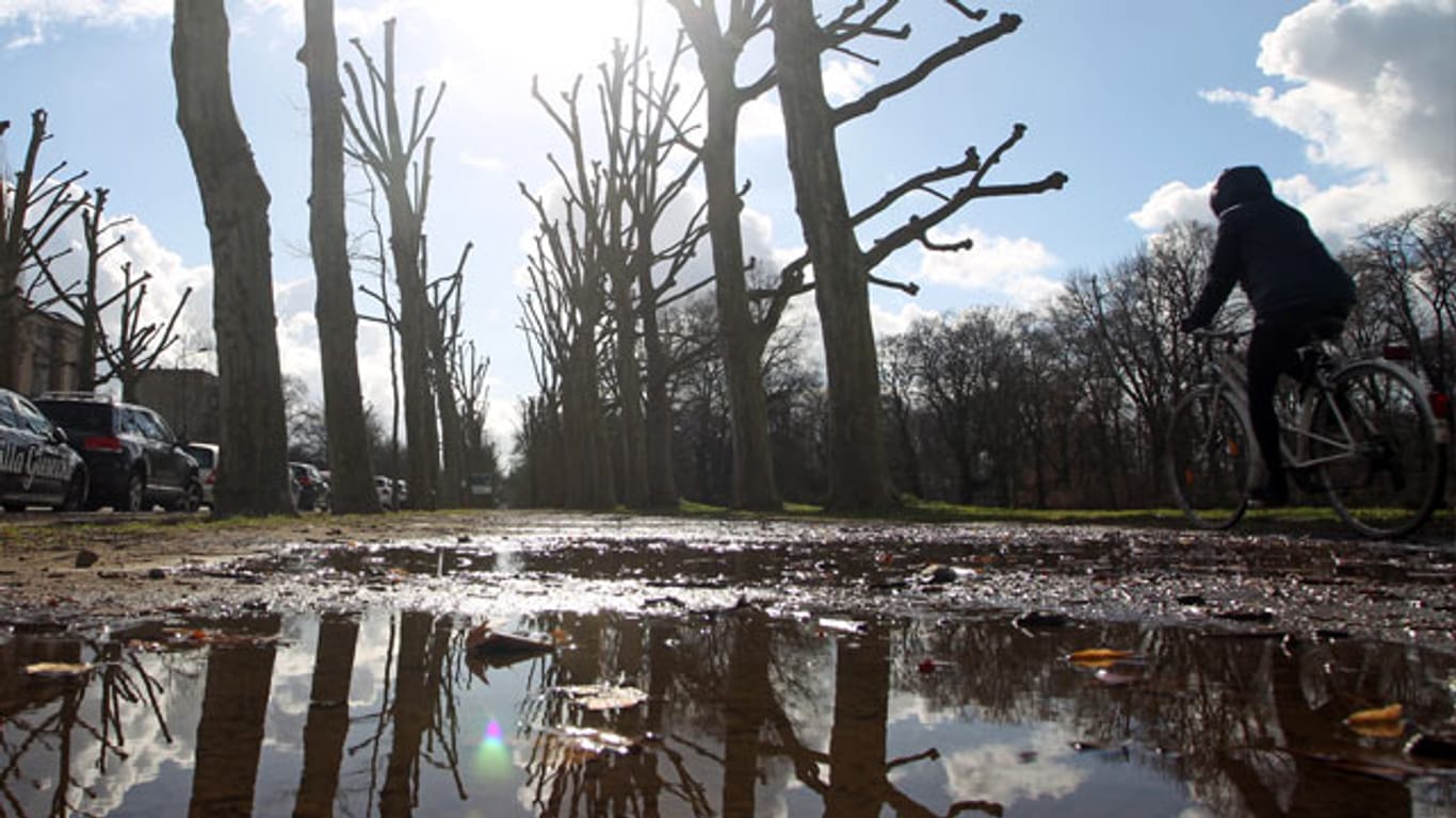 In Leipzig ist der Frühling langsam zu erkennen.