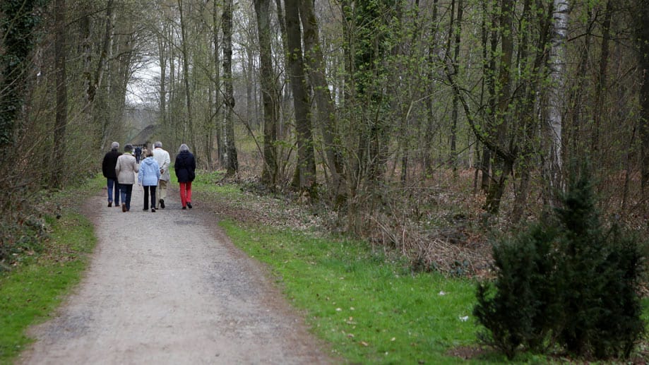 Feuchtkaltes Wetter: Für einen Spaziergang braucht man im Augenblick noch eine dichte Jacke. Feuchtkaltes Wetter: Für einen Spaziergang braucht man im Augenblick noch eine dichte Jacke.