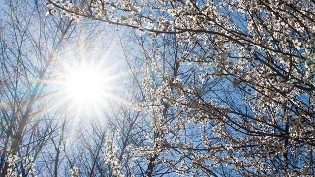 Am Wochenende kann man den Frühling genießen.