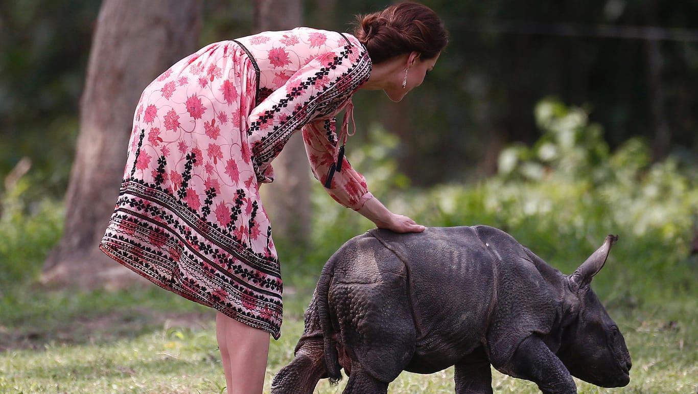 Herzogin Kate streichelt ein junges Nashorn.