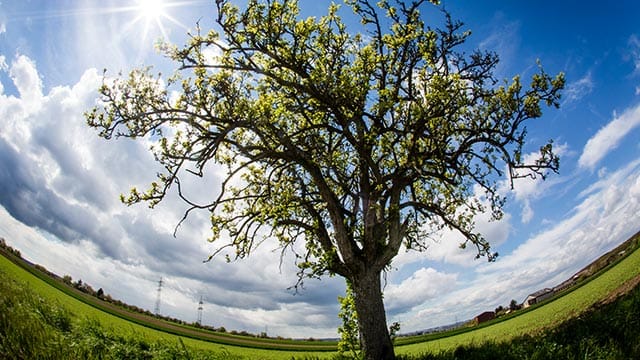 Schöne Aussichten für den 1. Mai: Die Sonne setzt sich in weiten teilen Deutschlands gegen die Wolken durch.