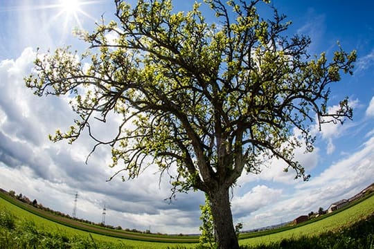 Schöne Aussichten für den 1. Mai: Die Sonne setzt sich in weiten teilen Deutschlands gegen die Wolken durch.