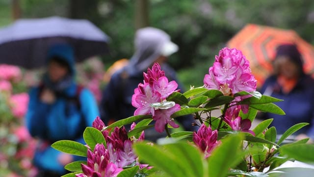 Wettervorhersage
