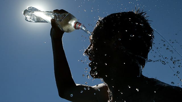 Bei den aktuellen Temperaturen hilft nur viel trinken und sich nicht überanstrengen.