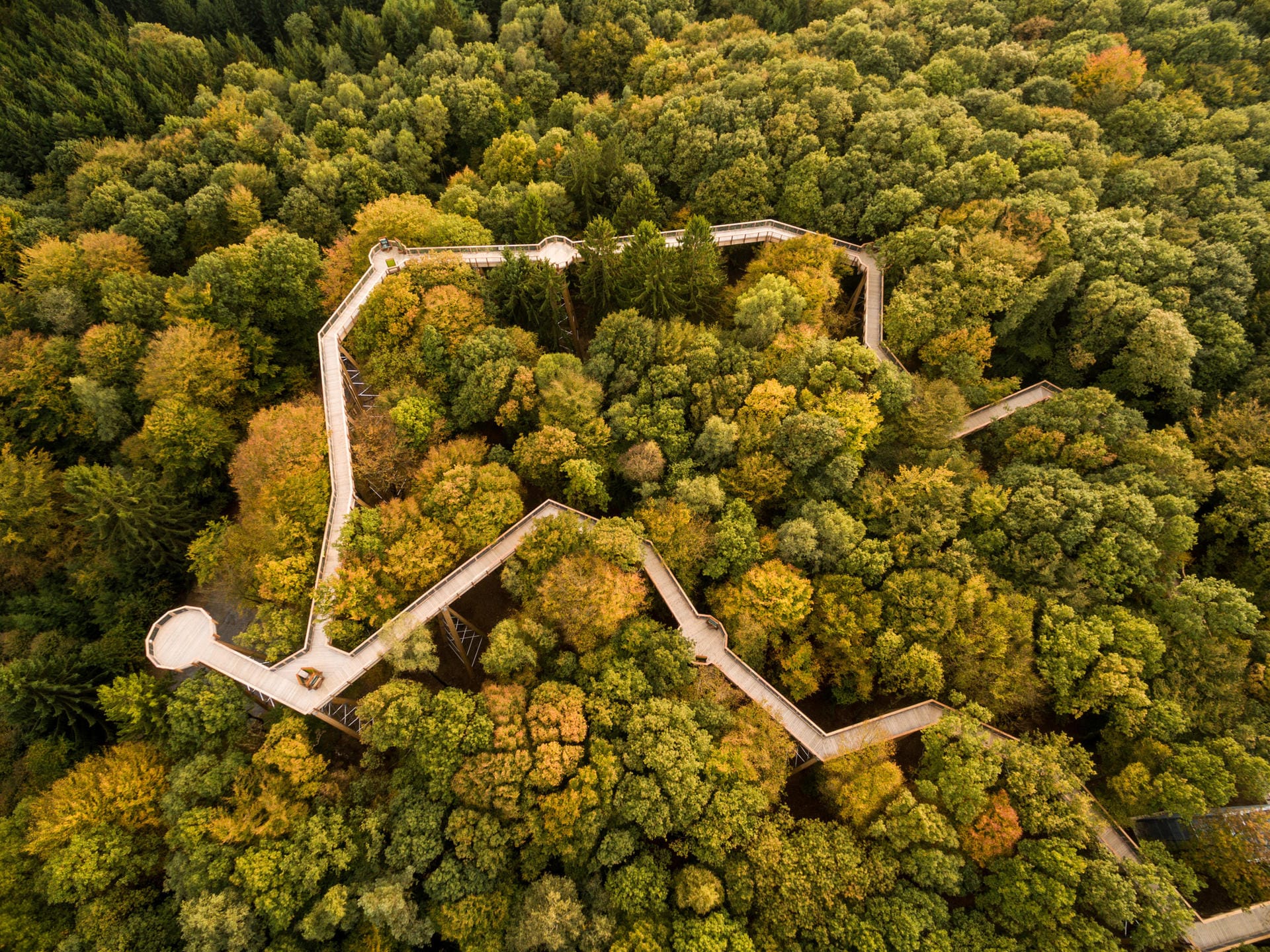 Der Pfad "Panarbora" rund 50 Kilometer östlich von Köln bietet an Wissens-Stationen Einblick in Flora und Fauna des umliegenden Waldes.