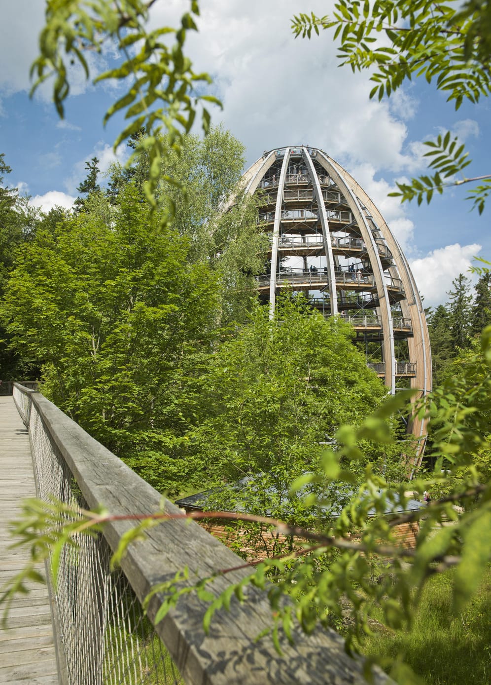 Der Pfad in Neuschönau im Bayerischen Wald endet auf der obersten Plattform eines Baumturms.
