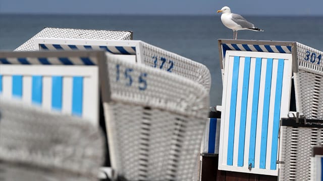 Möwen macht das unbeständige Wetter an der Nordseeküste in Norden nichts aus.