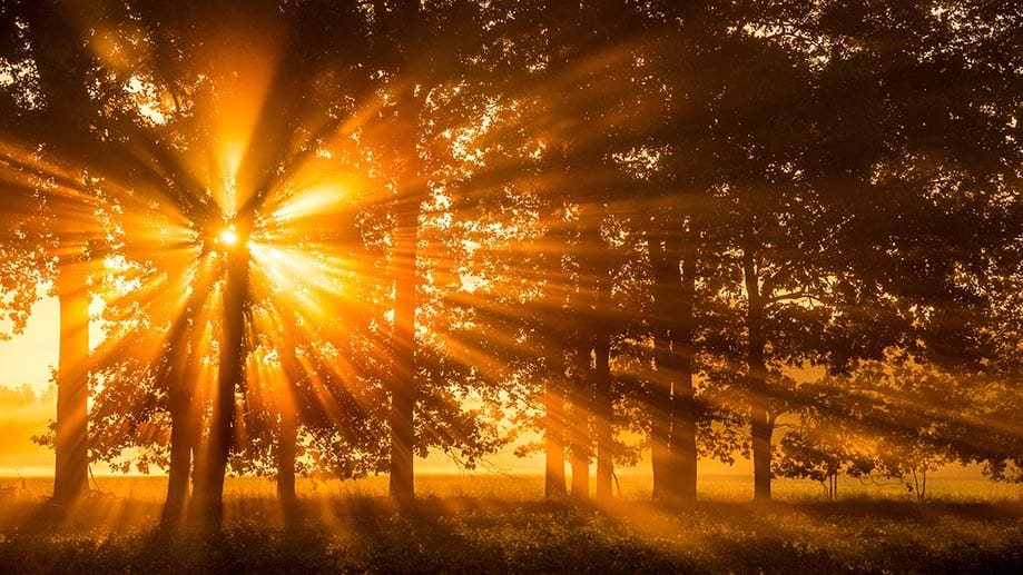 Nach Frühnebel wird das Wetter spätsommerlich schön.