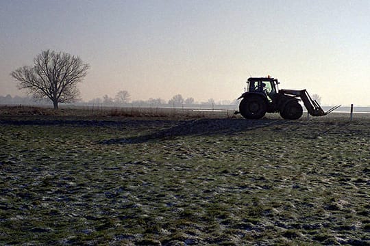 Bodenfrost und Schnee - erste Hinweise auf den Winter sind bereits zu erkennen.