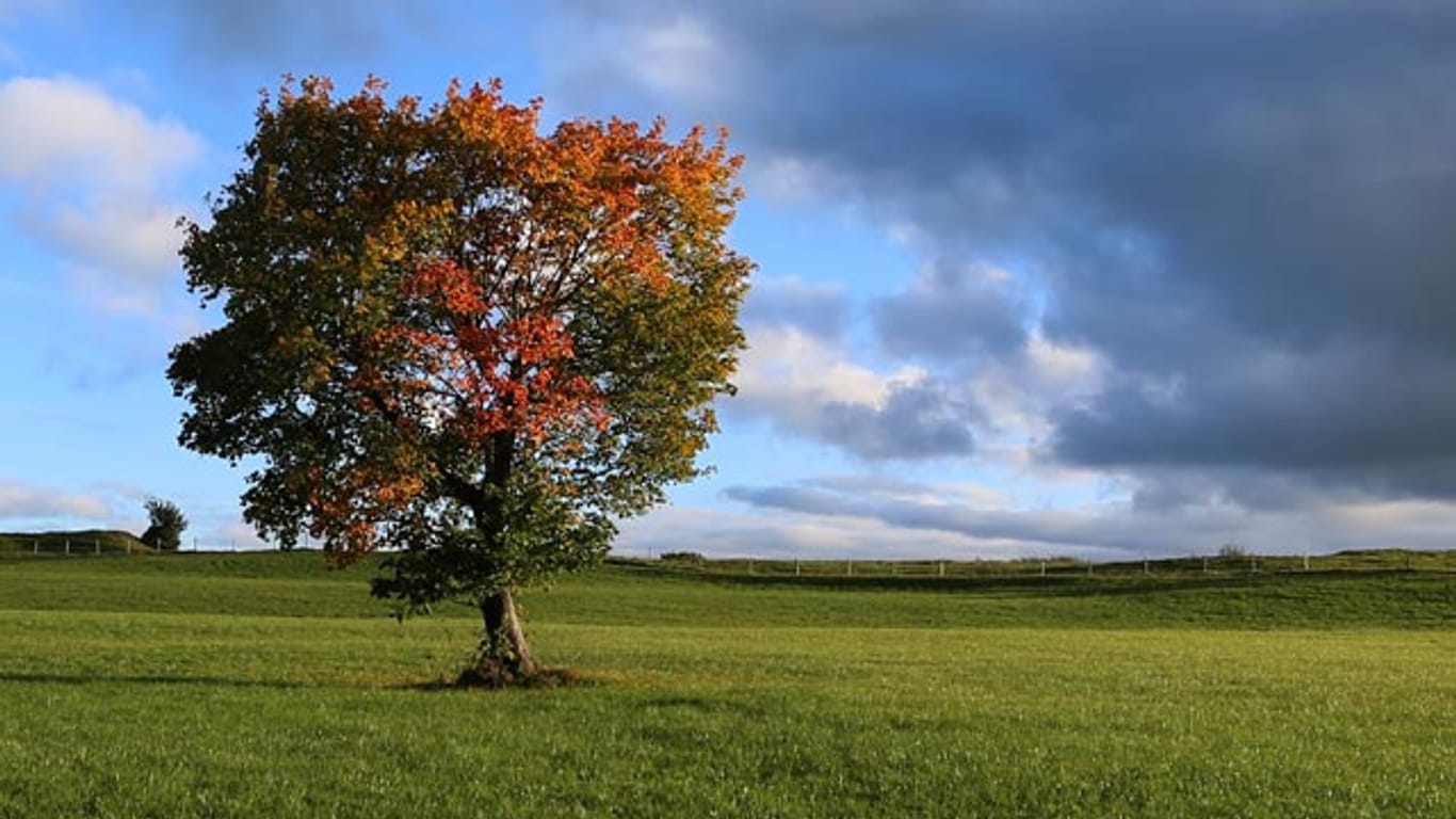 Die Wetterbesserung kommt: Am nächsten Wochenende locken milde und schöne Herbsttage.