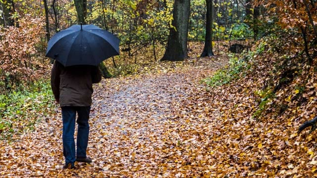 Spaziergang am Wochenende: Besser den Schirm parat haben.