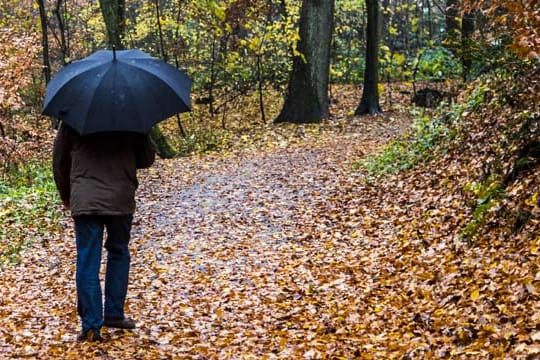 Spaziergang am Wochenende: Besser den Schirm parat haben.