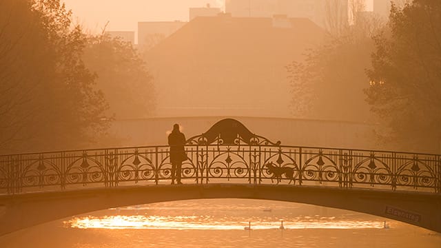 Morgenstimmung in Berlin mit Frühnebel.