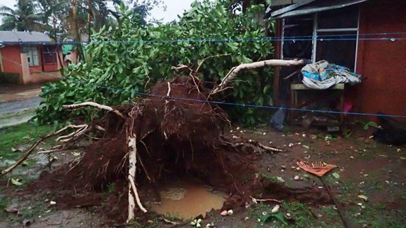 Hurrikan "Otto" entwurzelt Bäume - hier in Chiles de San Carlos in Costa Rica.
