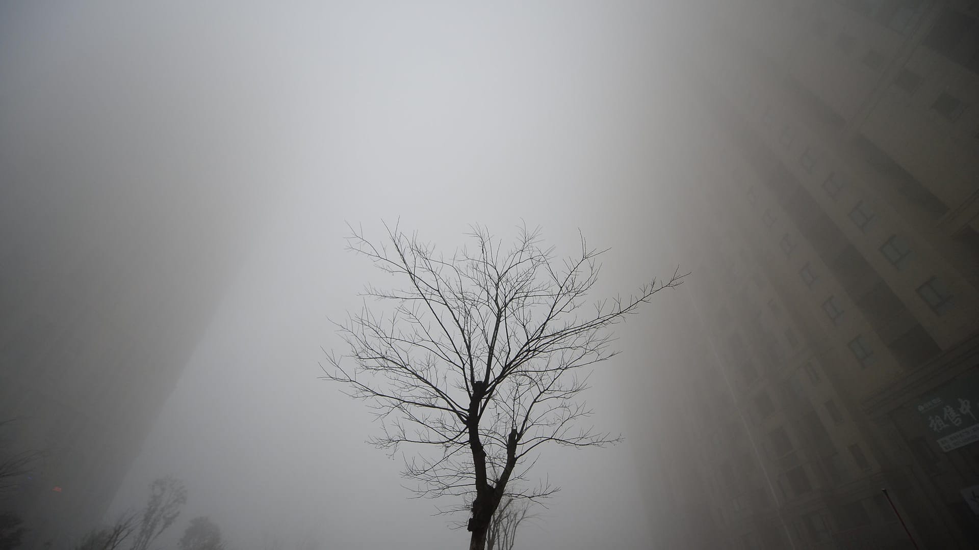 Die Gebäude sind im Smog fast nicht mehr zu sehen.