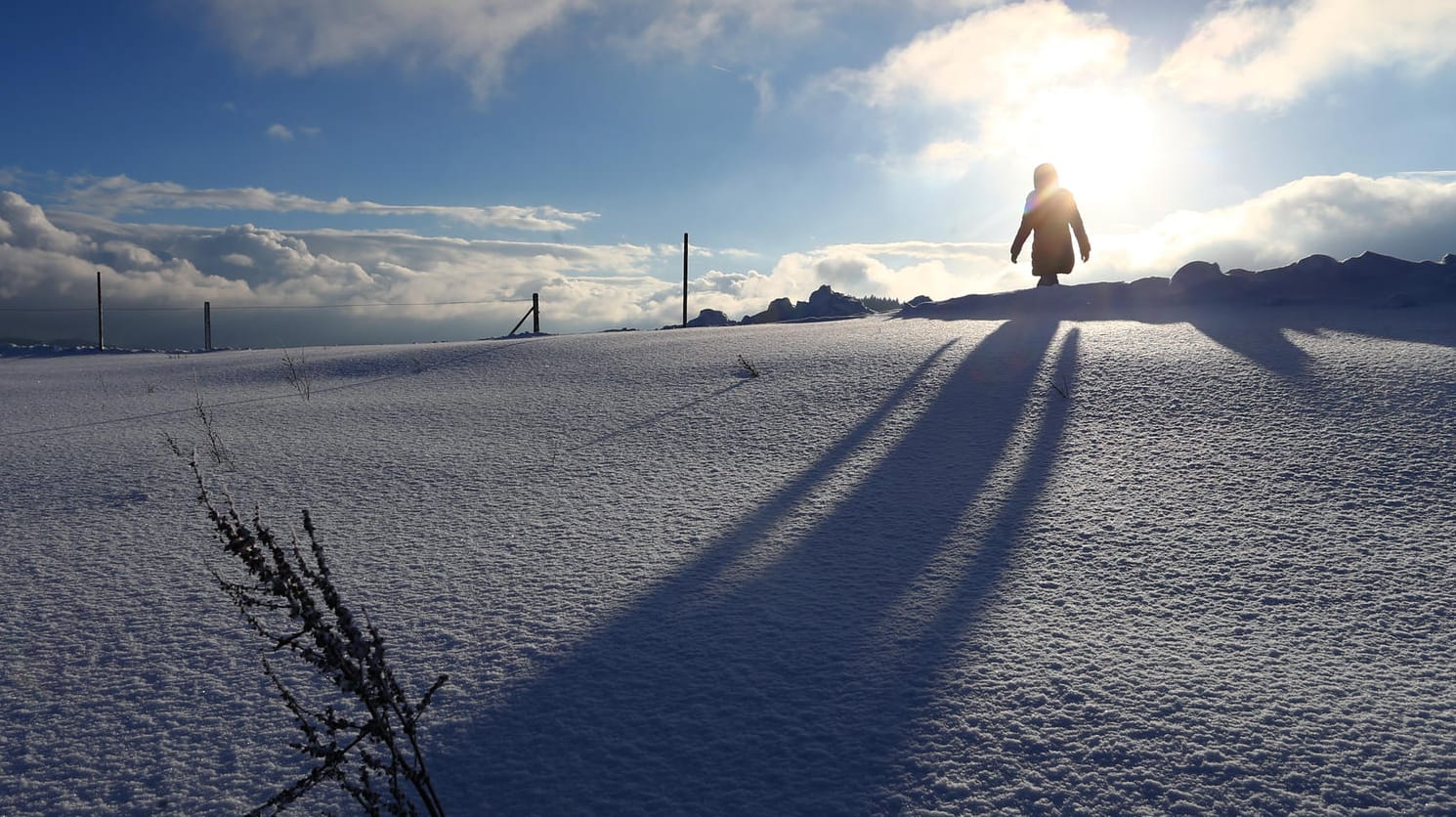 Schee: Eine Spaziergängerin läuft im Sonnenschein durch die tief verschneite Landschaft bei Scheidegg im bayerischen Allgäu. Schee: Eine Spaziergängerin läuft im Sonnenschein durch die tief verschneite Landschaft bei Scheidegg im bayerischen Allgäu.