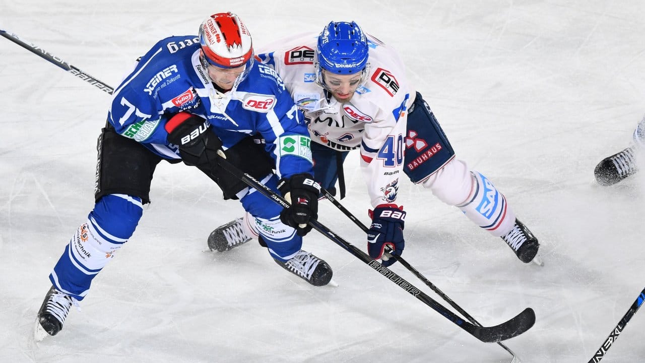 Schwenningens Uli Maurer (l) und Mannheims Daniel Sparre kämpfen um den Puck. Schwenningens Uli Maurer (l) und Mannheims Daniel Sparre kämpfen um den Puck.
