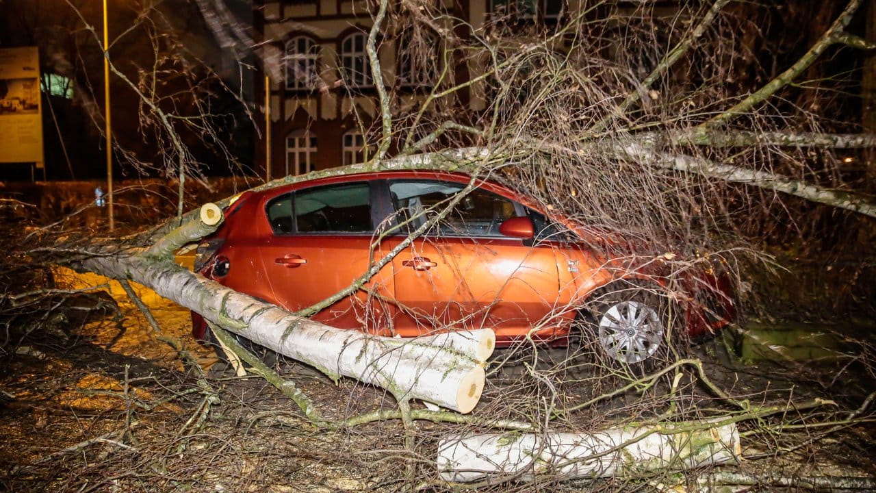 Ein umgestürzter Baum liegt in Wiesbaden auf einem Auto.