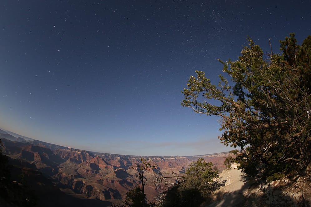 Eine Vielzahl an Sternen trotz Mondlicht, welches den Canyon erhellt.