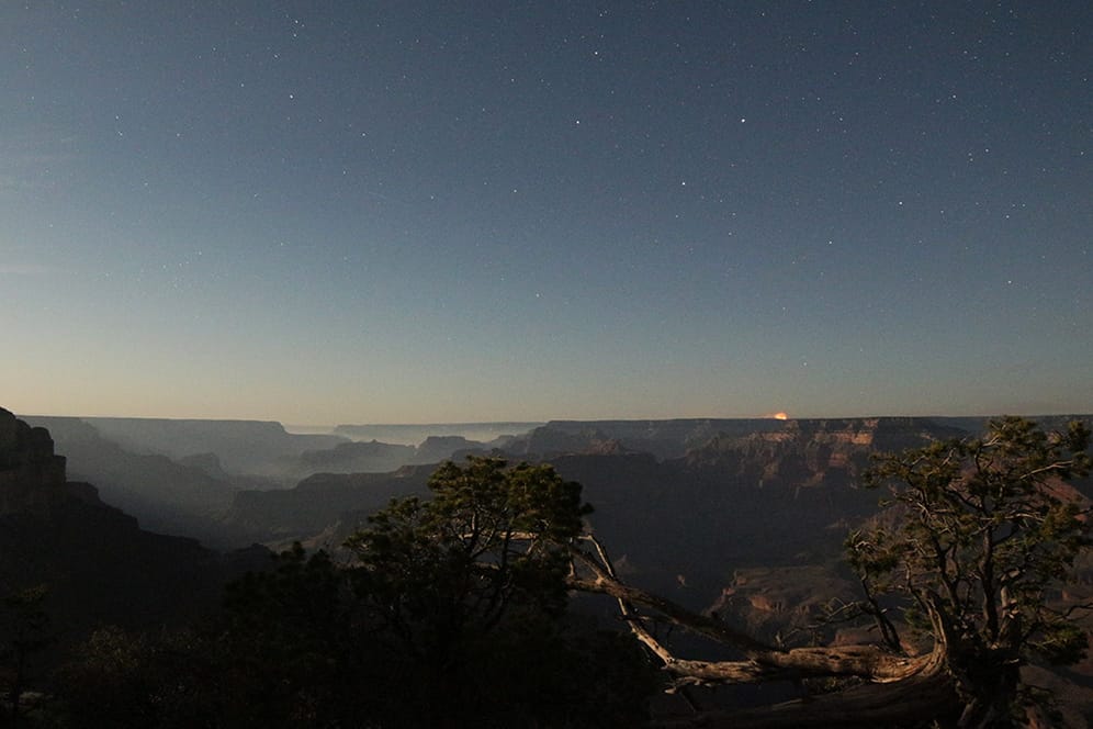 Mondlicht im Canyon.