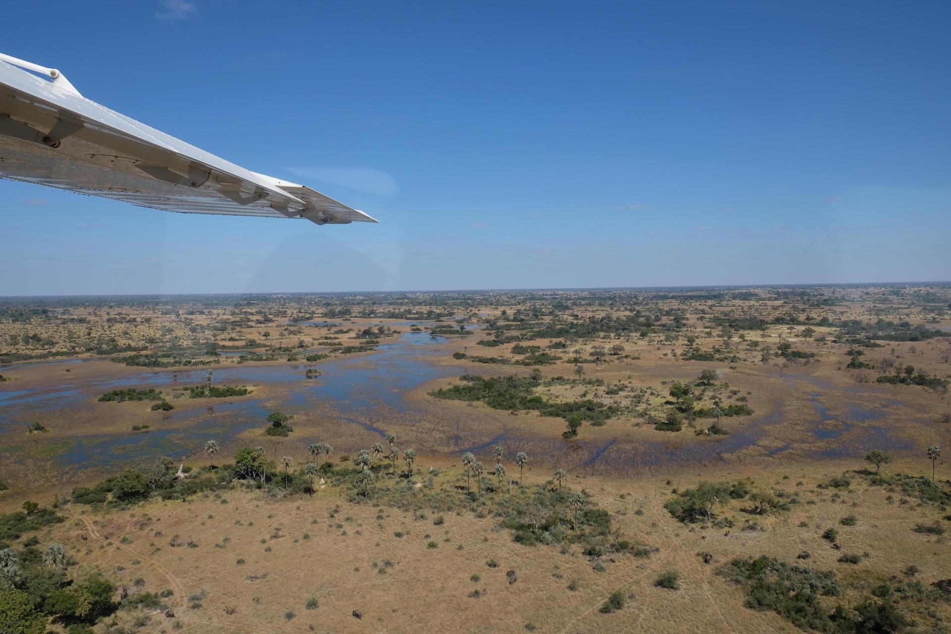 Botswana: Afrikas schönstes Geheimnis