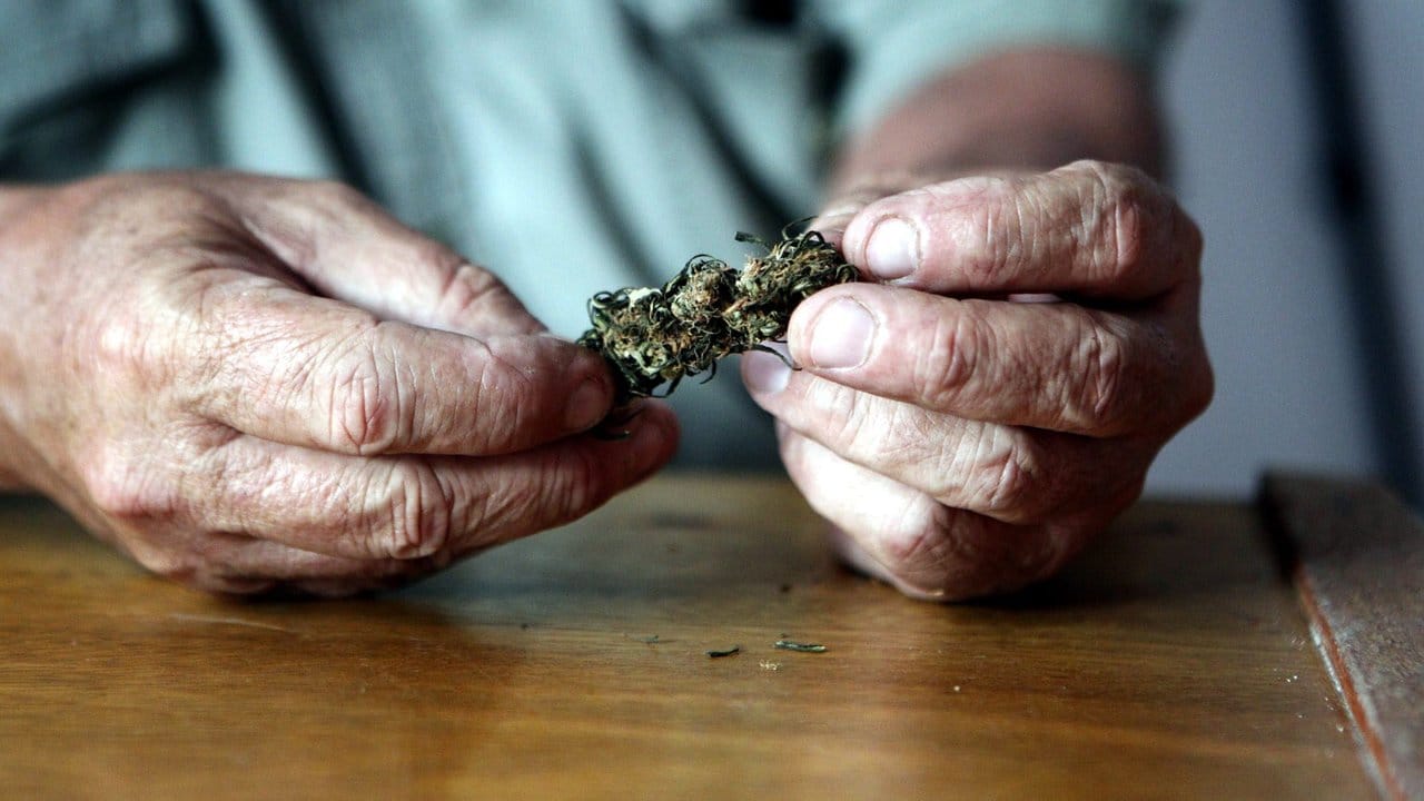 Viele Menschen hatten lange Vorbehalte gegen Cannabis. Viele Menschen hatten lange Vorbehalte gegen Cannabis.