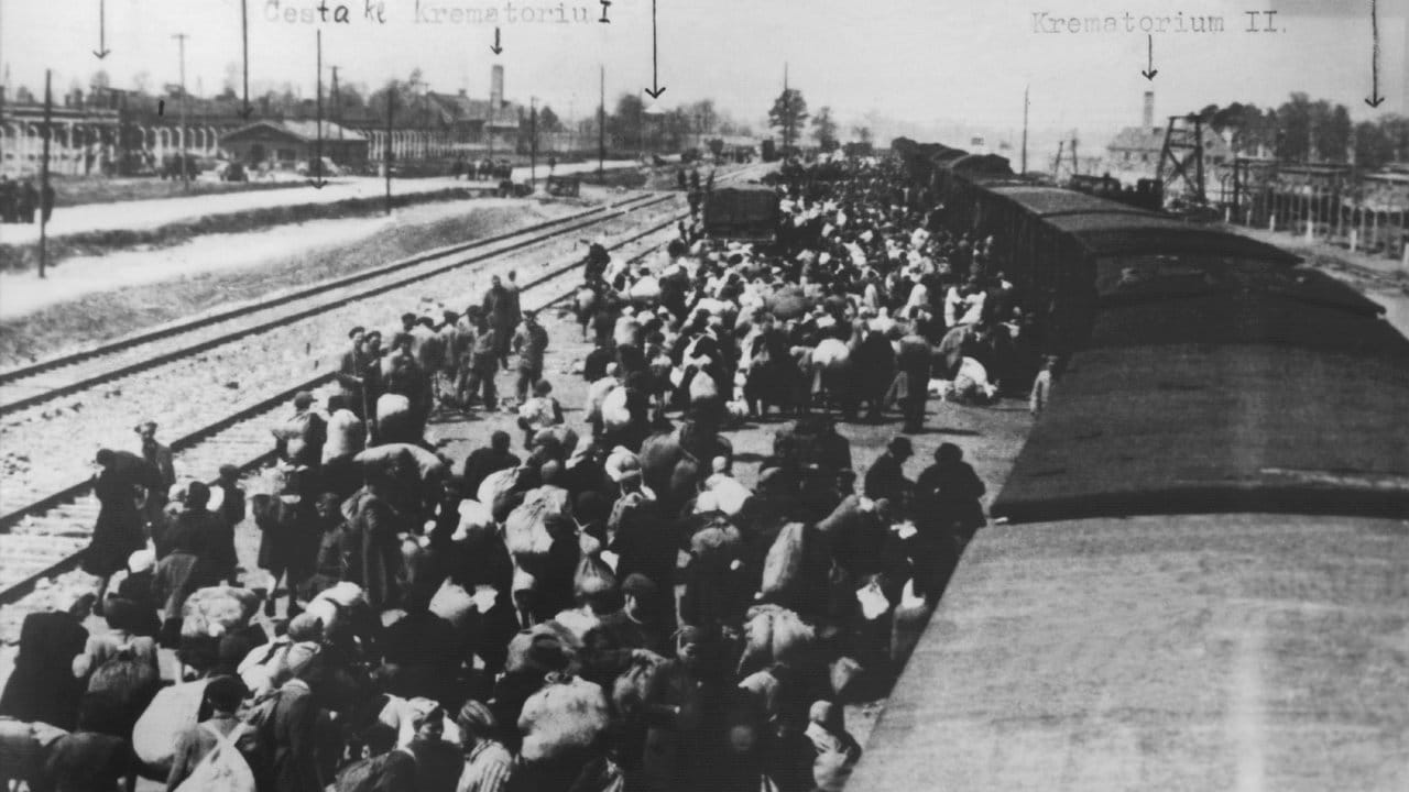 Ein Häftlingstransport aus Ungarn trifft im Frühjahr 1945 in Auschwitz ein. Ein Häftlingstransport aus Ungarn trifft im Frühjahr 1945 in Auschwitz ein.
