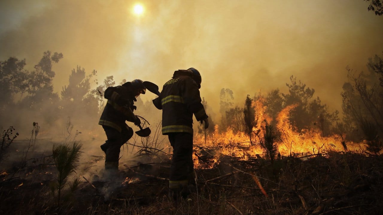 Chilenische Feuerwehrmänner imm Kampf gegen die Flammen. Chilenische Feuerwehrmänner imm Kampf gegen die Flammen.