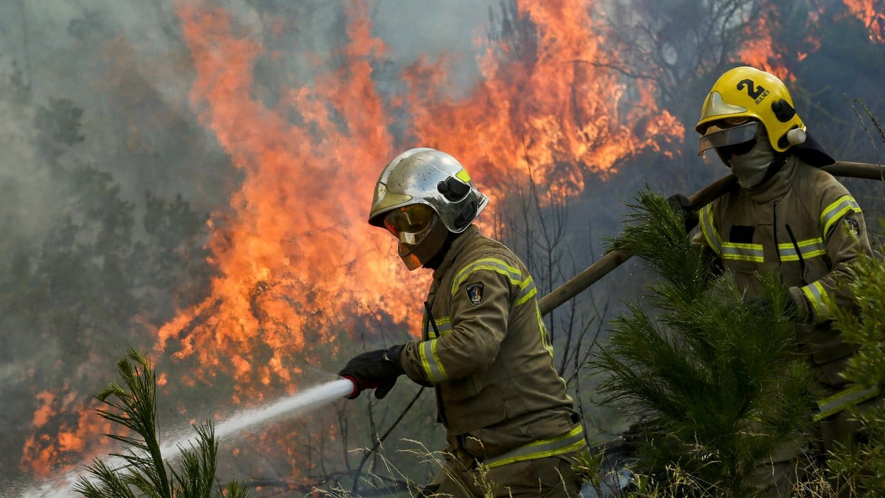 Feuerwehrleute versuchen in Portezuelo die Flammen unter Kontrolle zu bringen.