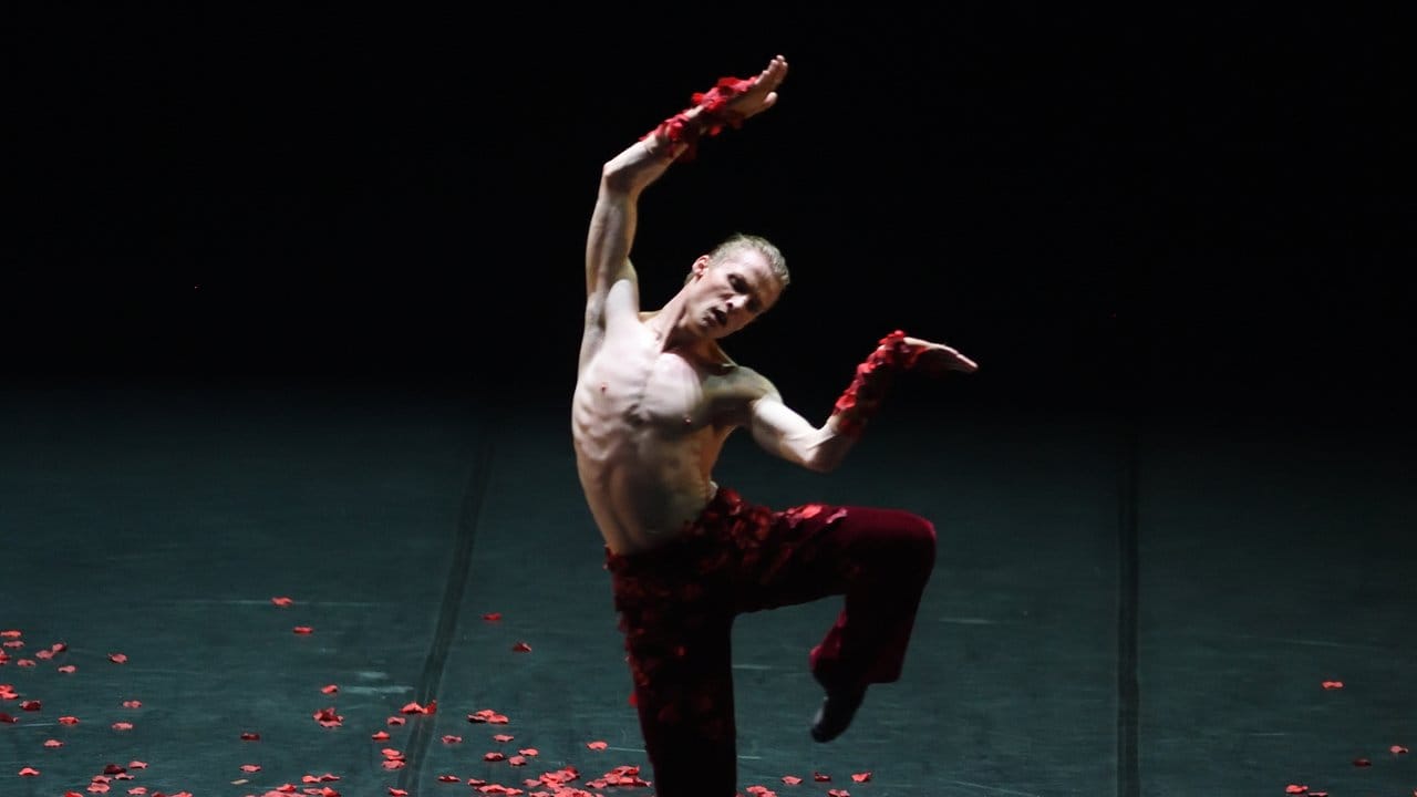 Adam Russell-Jones in dem Stück "Le Spectre de la Rose" von dem Choreographen Marco Goecke. Adam Russell-Jones in dem Stück "Le Spectre de la Rose" von dem Choreographen Marco Goecke.
