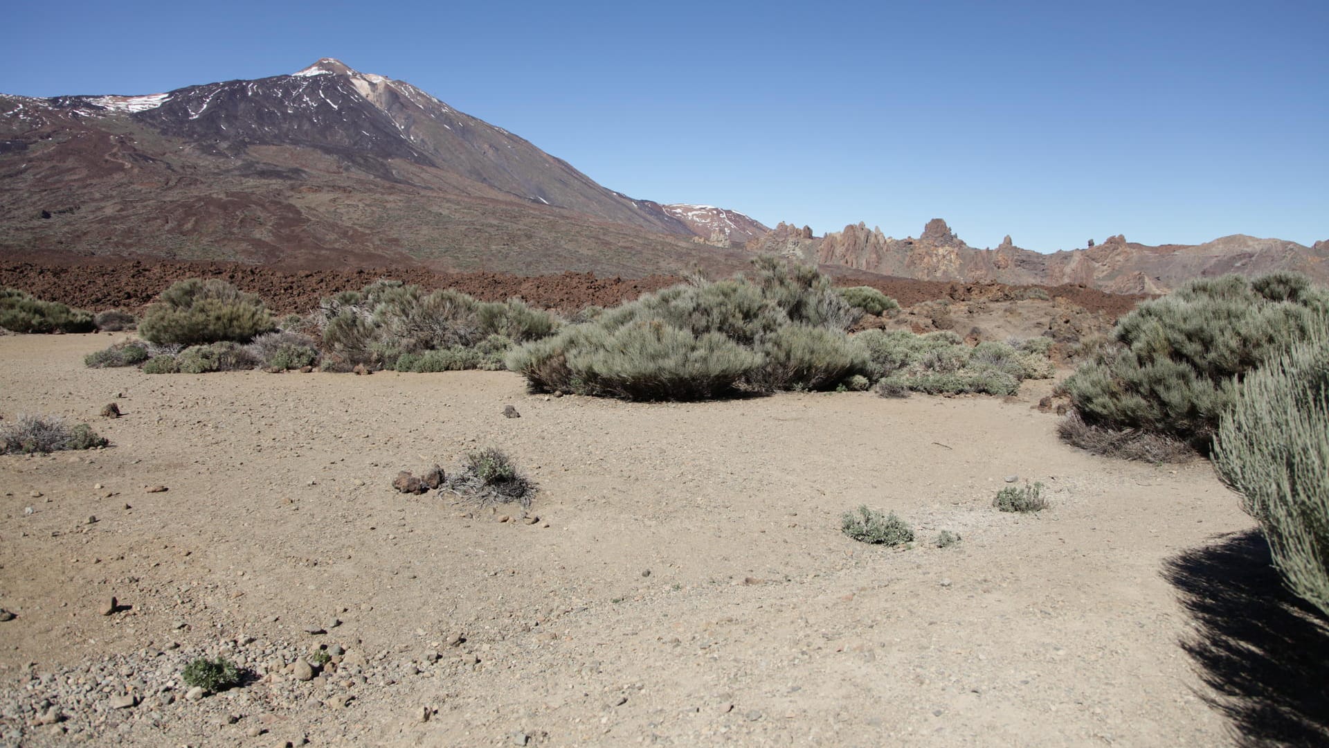 Canadas del Teide.