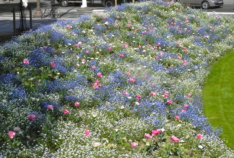 Paris im Frühling