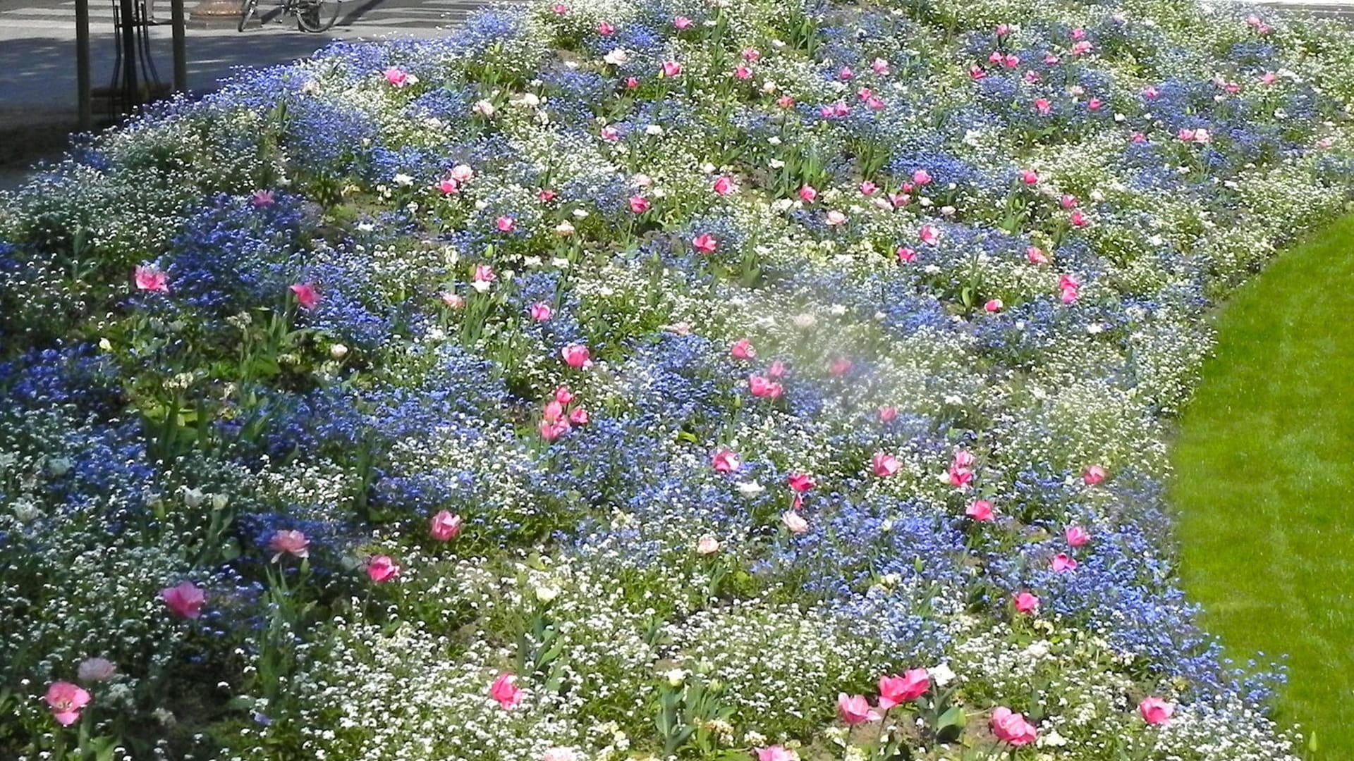 Paris im Frühling