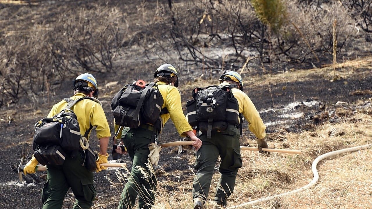 Feuerwehrleute sind unterwegs: Wegen eines Walbrandes mussten im US-Bundesstaat Colorado mehr als 1000 Menschen ihre Häuser verlassen.
