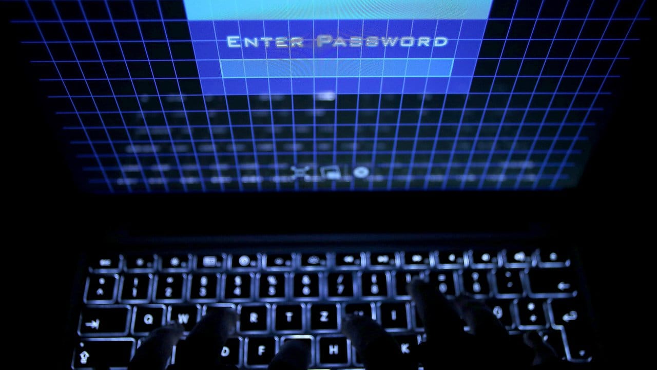 "Enter Password": Wer sich einen Erpressungstrojaner einfängt, kommt meist gar nicht mehr an diesen Punkt.