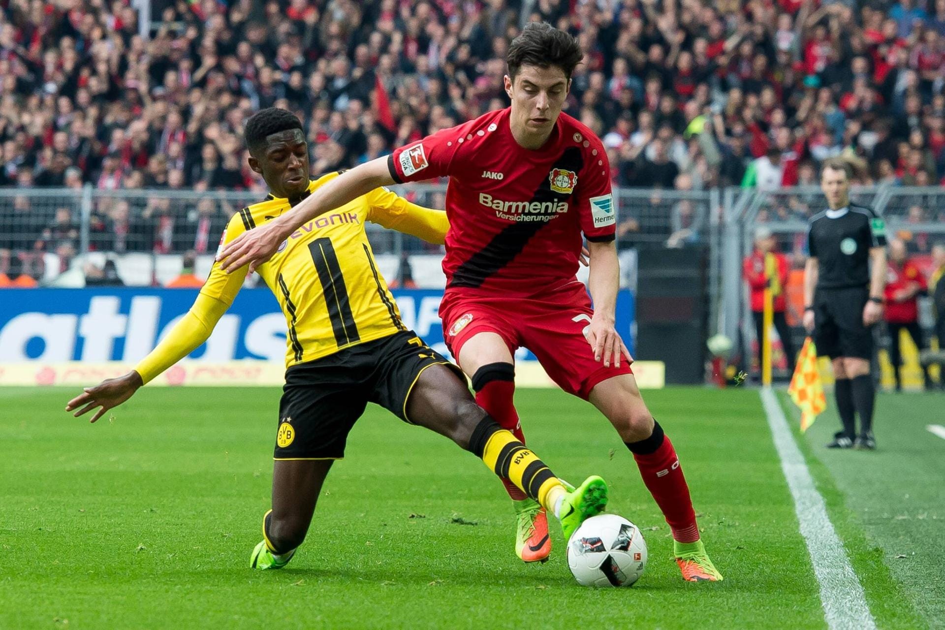 Leverkusens Shootingstar Kai Havertz (r.) steigerte seinen Marktwert von 1,5 auf fünf Millionen Euro.