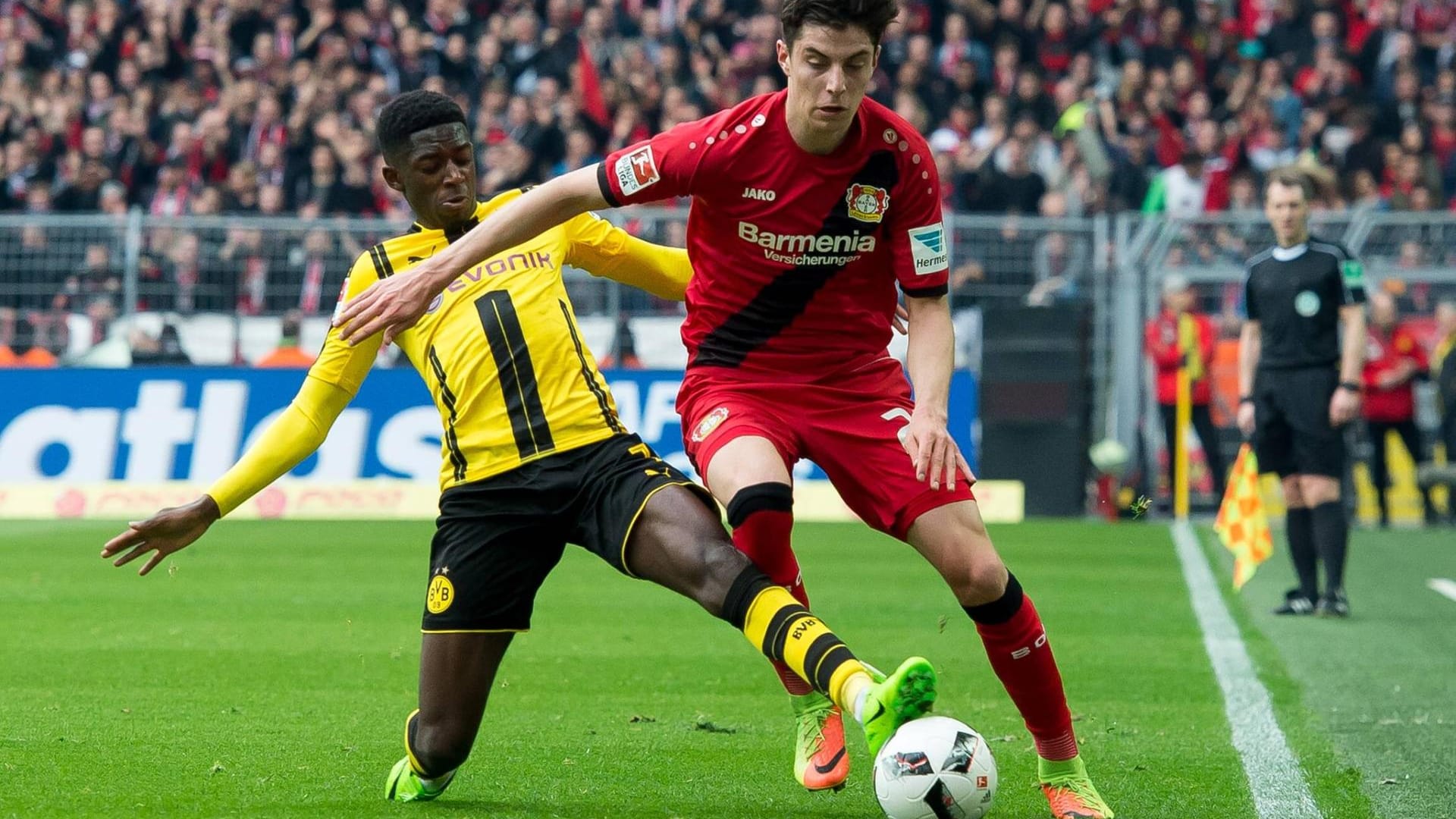 Leverkusens Shootingstar Kai Havertz (r.) steigerte seinen Marktwert von 1,5 auf fünf Millionen Euro.