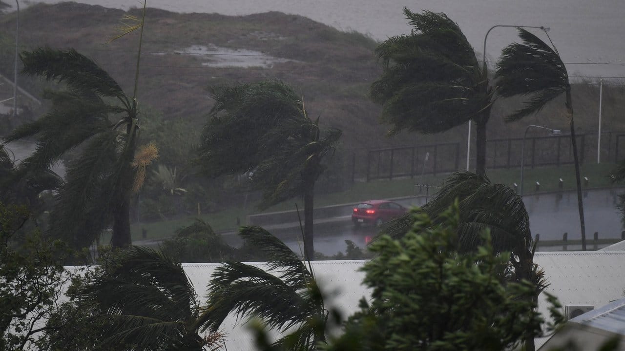 Palmen biegen sich in Airlie Beach im Sturm. Palmen biegen sich in Airlie Beach im Sturm.