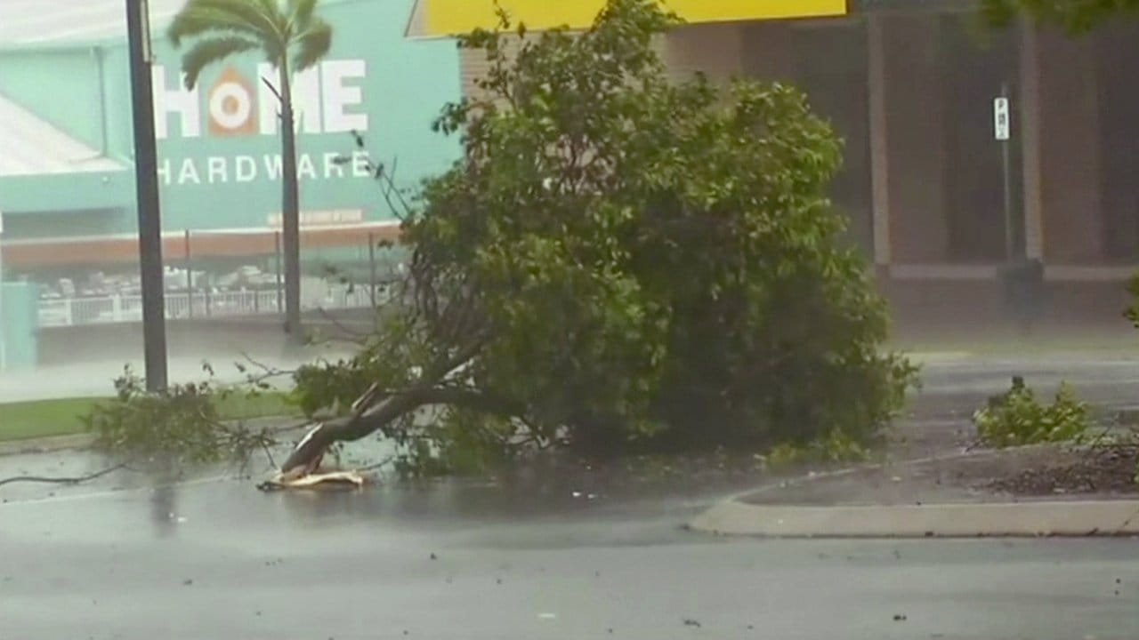 Abgeknickte Bäume auf einer Straße in Bowen. Abgeknickte Bäume auf einer Straße in Bowen.