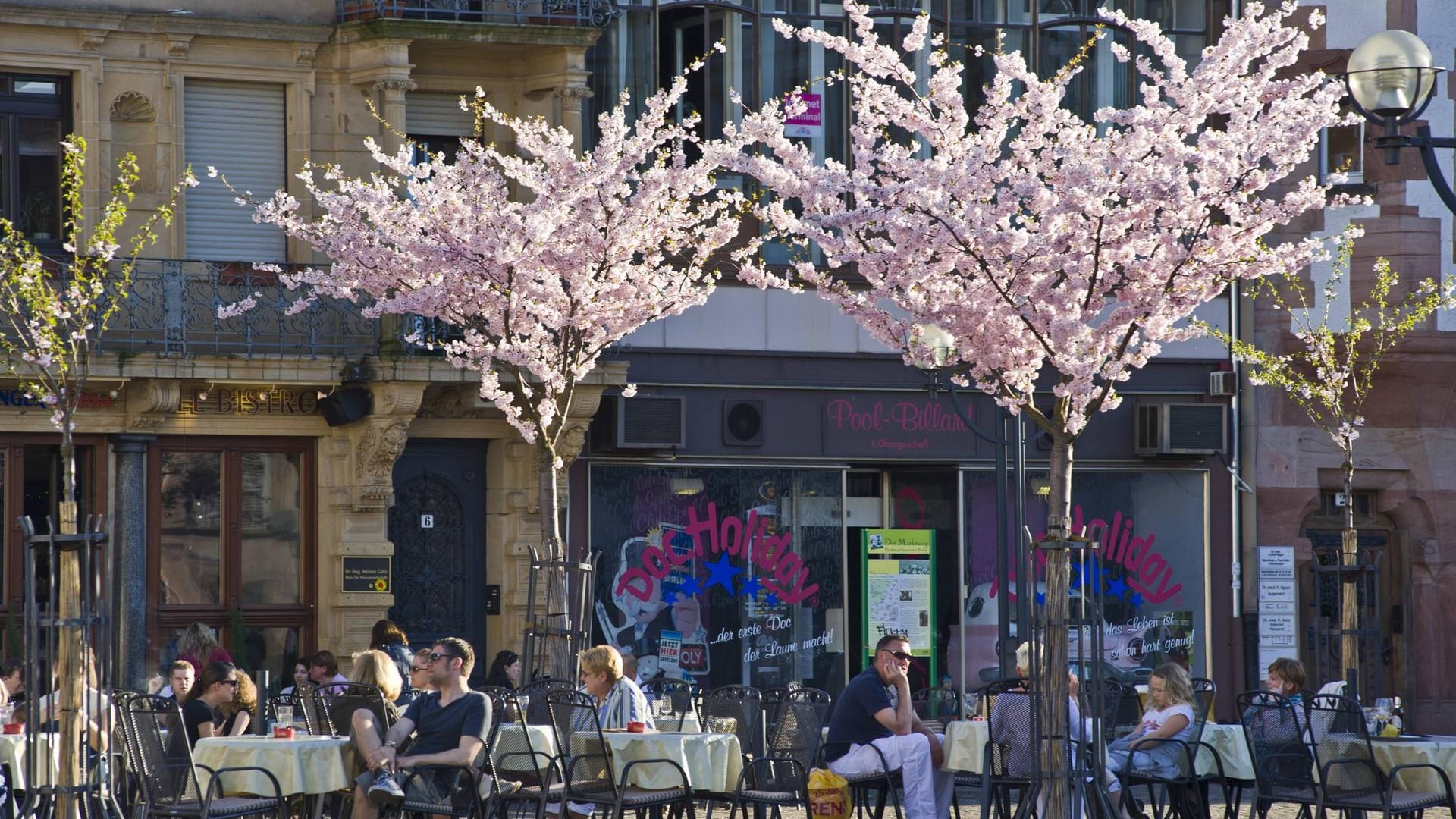 Der Marktplatz von Landau mit Mandelbaumblüte, Deutsche Weinstraße, Pfalz