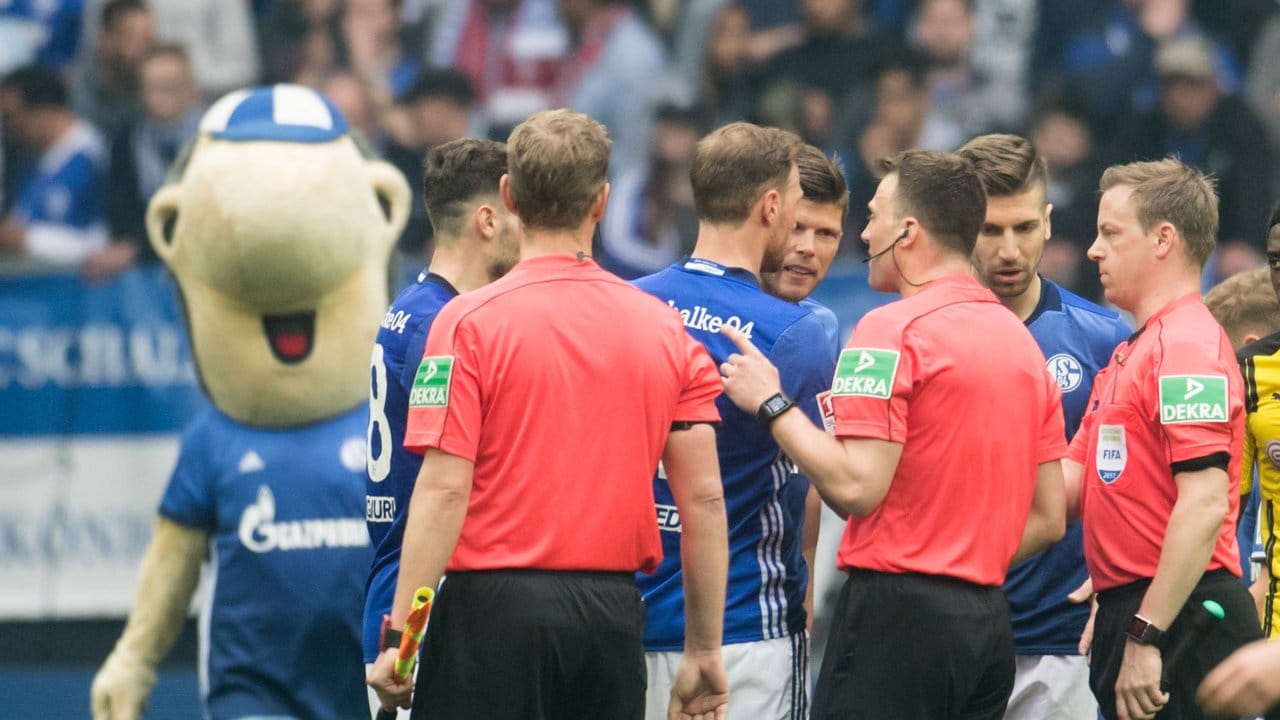 Schalke-Maskottchen Erwin (l) macht sich mit einer roten Karte in der Hand auf den Weg zu Schiedsrichter Felix Zwayer. Schalke-Maskottchen Erwin (l) macht sich mit einer roten Karte in der Hand auf den Weg zu Schiedsrichter Felix Zwayer.