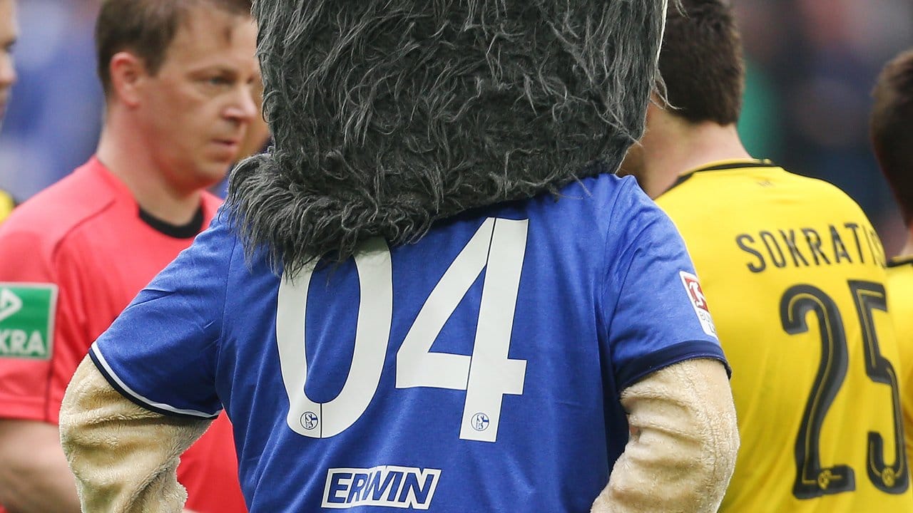 Schalke-Maskottchen Erwin hat schon eine rote Karte in der Hand und wartet auf den richtigen Moment. Schalke-Maskottchen Erwin hat schon eine rote Karte in der Hand und wartet auf den richtigen Moment.
